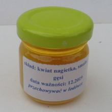 Kwiat nagietka